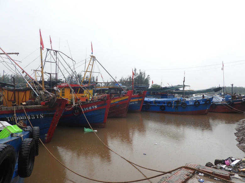 B&atilde;o số 5 quần thảo Nghệ An, đường phố Cửa L&ograve; ngập s&acirc;u, nhiều c&acirc;y xanh g&atilde;y đổ- Ảnh 5.