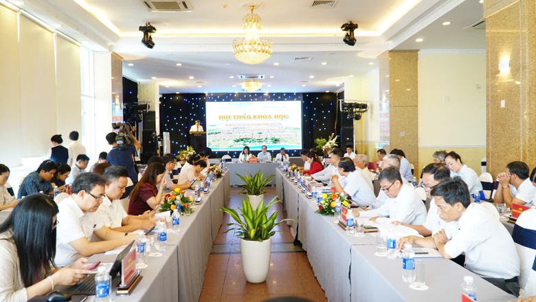 Di t&iacute;ch Trường Lũy ở Gia Lai sẽ được bảo tồn thế n&agrave;o?- Ảnh 6.