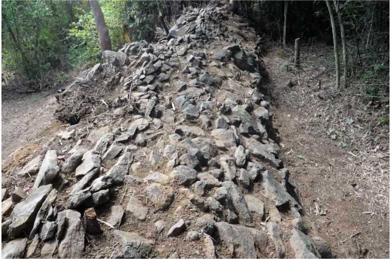 Di t&iacute;ch Trường Lũy ở Gia Lai sẽ được bảo tồn thế n&agrave;o?- Ảnh 5.