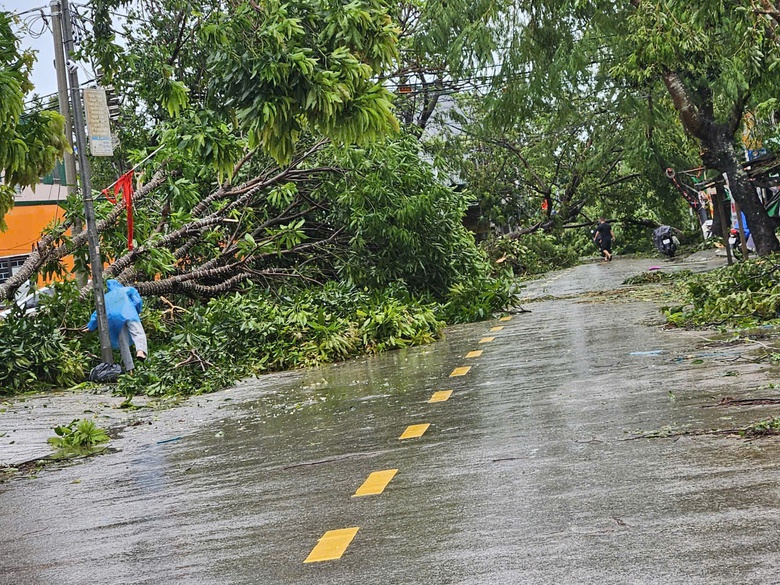 Nghệ An: Ước t&iacute;nh thiệt hại khoảng 1.245 tỷ đồng do b&atilde;o số 5 g&acirc;y ra- Ảnh 1.