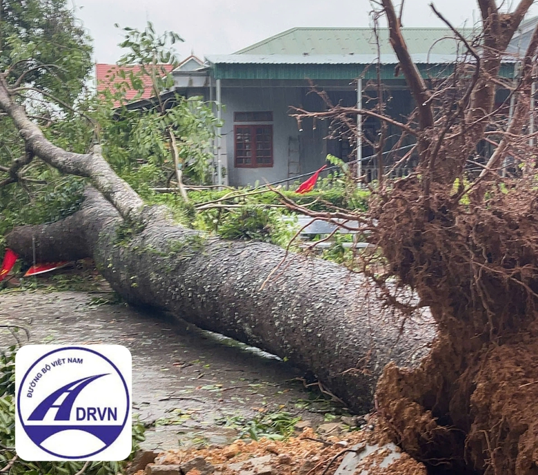 Khơi th&ocirc;ng đường s&aacute;, khắc phục hậu quả b&atilde;o số 5 ở H&agrave; Tĩnh- Ảnh 1.