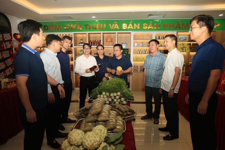 Ph&uacute; Thọ: Đưa v&agrave;o sử dụng loạt c&ocirc;ng tr&igrave;nh trọng điểm kỷ niệm 80 năm Quốc kh&aacute;nh 2/9- Ảnh 3.