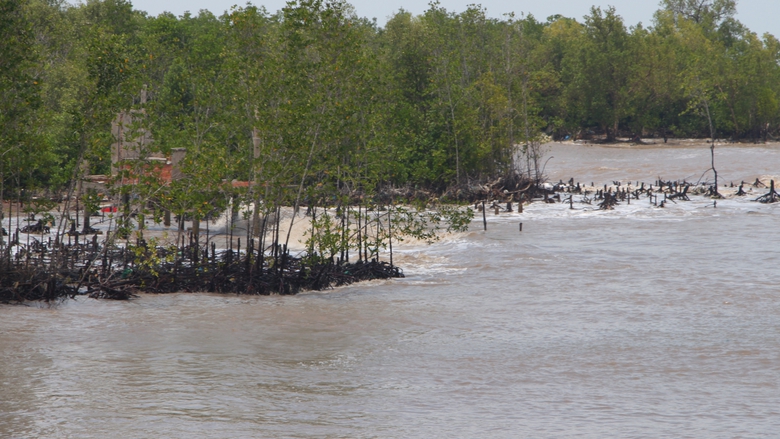 C&agrave; Mau ưu ti&ecirc;n x&acirc;y dựng k&egrave; ở những khu vực xung yếu chống sạt lở- Ảnh 4.