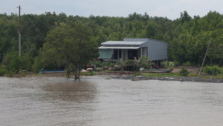 C&agrave; Mau ưu ti&ecirc;n x&acirc;y dựng k&egrave; ở những khu vực xung yếu chống sạt lở- Ảnh 3.