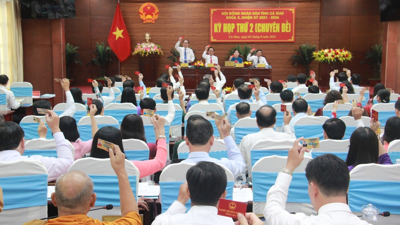 HĐND tỉnh C&agrave; Mau th&ocirc;ng qua 12 nghị quyết quan trọng- Ảnh 2.