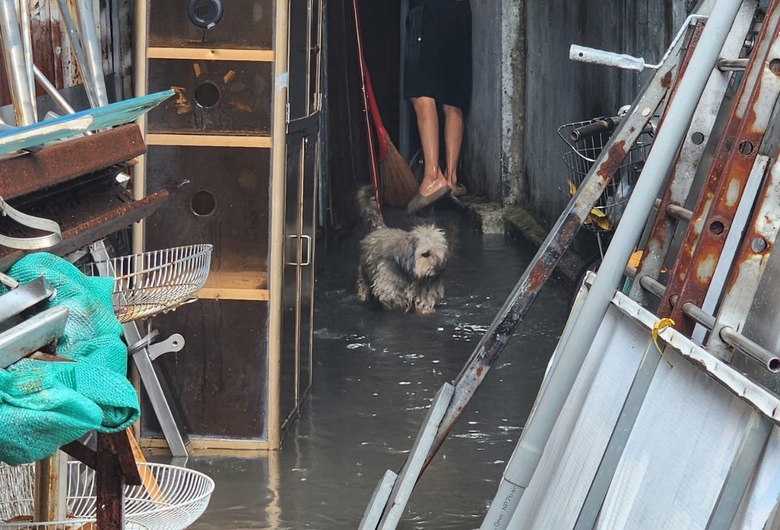 Mưa lớn tr&uacute;t xuống, một số tuyến đường ở Đồng Nai bị ngập v&agrave;o giờ tan tầm- Ảnh 2.