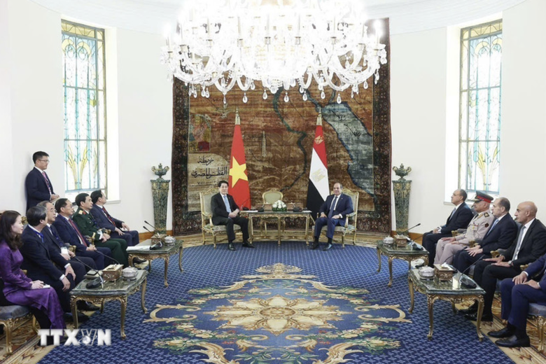 Việt Nam - Ai Cập n&acirc;ng cấp quan hệ l&ecirc;n Đối t&aacute;c To&agrave;n diện- Ảnh 1.
