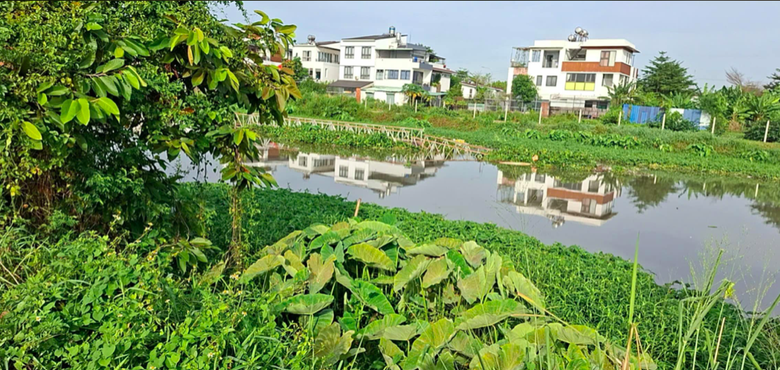 TP.HCM: Khắc phục sự cố cầu rạch &Ocirc;ng Bố bị nước cuốn tr&ocirc;i sau mưa lớn- Ảnh 1.