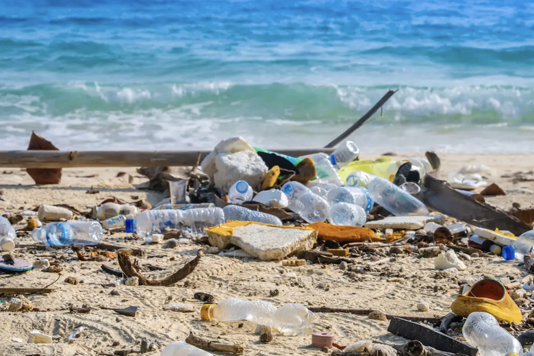 C&ocirc;ng nghệ đột ph&aacute; với vi sinh vật ăn nhựa- Ảnh 1.