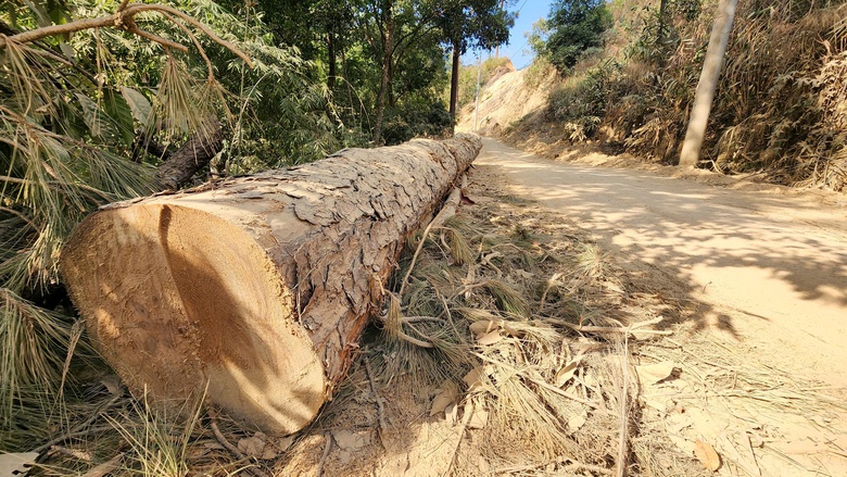 Tăng tốc thi c&ocirc;ng dự &aacute;n 600 tỷ đồng kết nối L&acirc;m Đồng - Đắk Lắk- Ảnh 6.