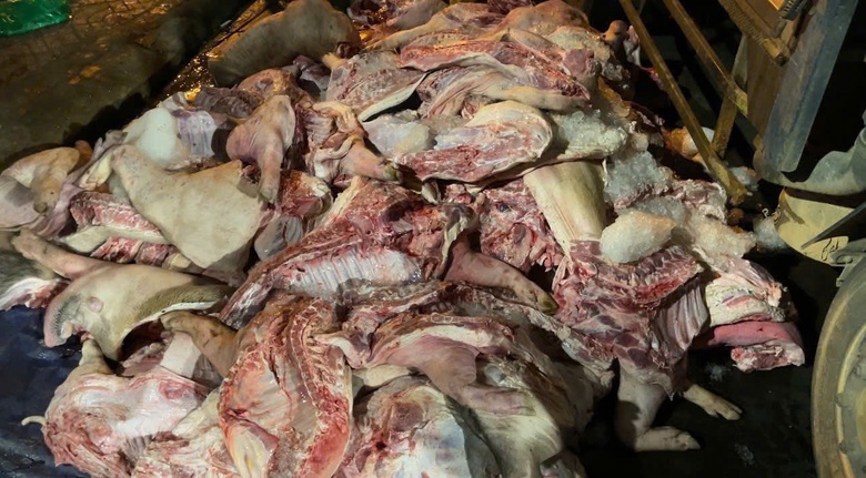 Gia Lai: Ph&aacute;t hiện, ti&ecirc;u hủy hơn 1 tấn thịt heo h&ocirc;i thối tuồn ra thị trường- Ảnh 2.