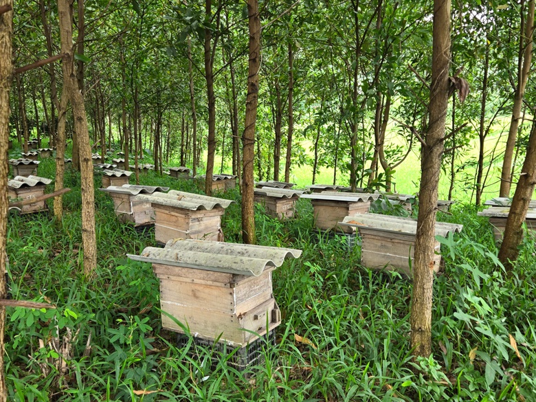 Thái Nguyên: Vùng quê nghèo cách trở thành điểm sáng nông thôn mới- Ảnh 2. Thái Nguyên: Vùng quê nghèo cách trở thành điểm sáng nông thôn mới- Ảnh 2.