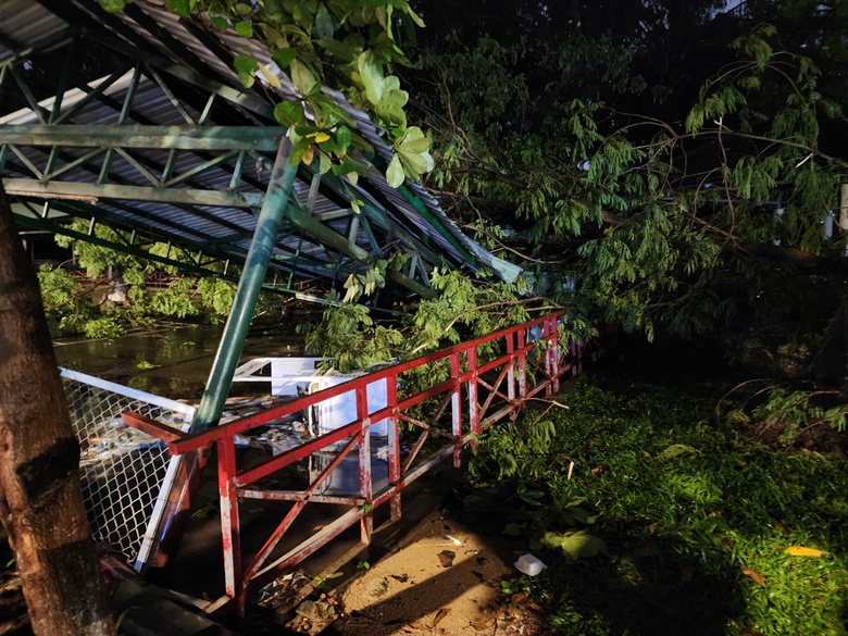 C&acirc;y me cổ thụ cao 20m bật gốc, đ&egrave; sập nh&agrave; giữ xe ở TP.HCM- Ảnh 2.