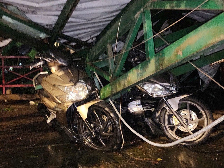 C&acirc;y me cổ thụ cao 20m bật gốc, đ&egrave; sập nh&agrave; giữ xe ở TP.HCM- Ảnh 3.