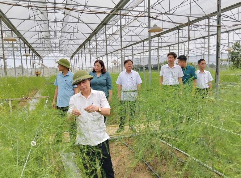 Phú Thọ: Hoàng An hướng tới mục tiêu xã Nông thôn mới kiểu mẫu- Ảnh 3. Phú Thọ: Hoàng An hướng tới mục tiêu xã Nông thôn mới kiểu mẫu- Ảnh 3.