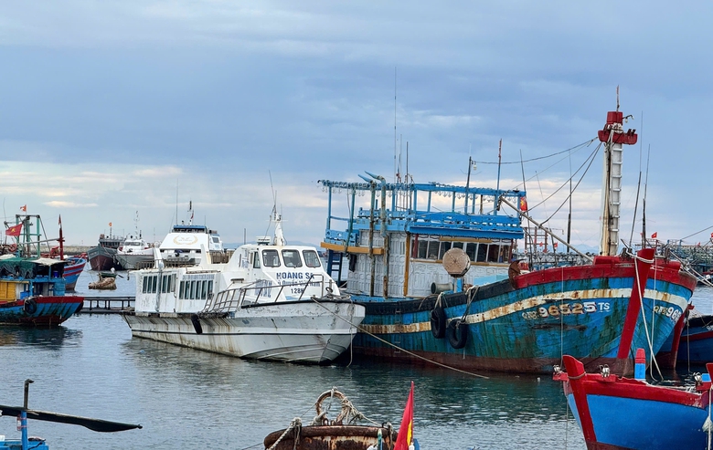 Cận cảnh những con t&agrave;u kh&aacute;ch triệu đ&ocirc; bỏ hoang ở L&yacute; Sơn- Ảnh 5.