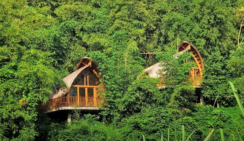 Thổi hồn v&agrave;o kiến tr&uacute;c hiện đại với m&acirc;y, tre- Ảnh 1.