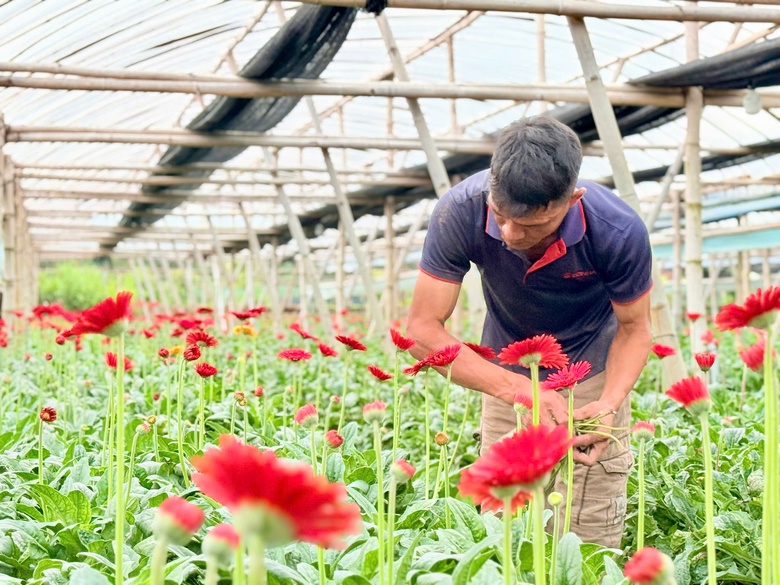Đan Phượng: Từ điển hình nông thôn mới đến khát vọng đô thị văn minh- Ảnh 1. Đan Phượng: Từ điển hình nông thôn mới đến khát vọng đô thị văn minh- Ảnh 1.