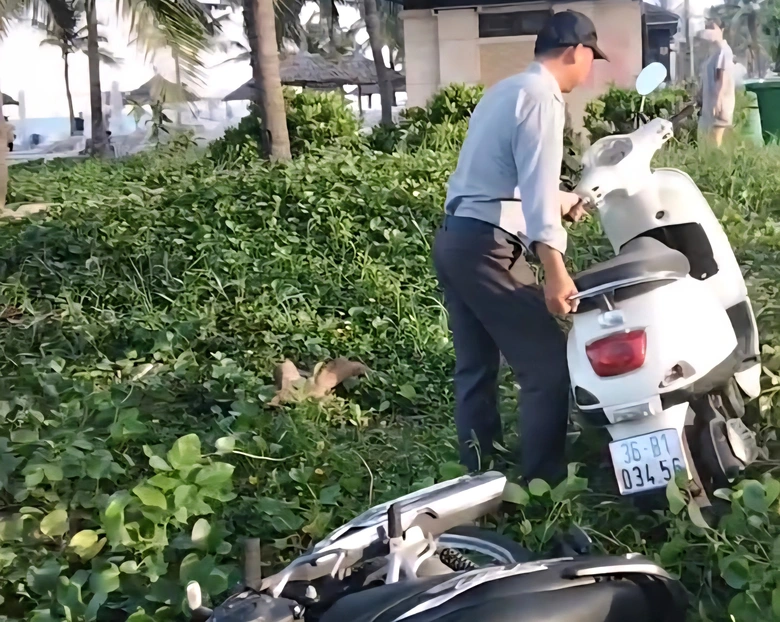 L&agrave;m r&otilde; th&ocirc;ng tin xe m&aacute;y của du kh&aacute;ch bị nh&acirc;n vi&ecirc;n trật tự x&ocirc; đổ ở b&atilde;i biển Đ&agrave; Nẵng- Ảnh 1.
