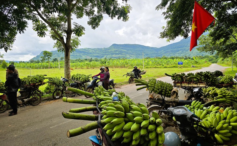 Cận cảnh chợ chuối Tân Long ở địa điểm tạm sau vụ tai nạn giao thông 3 người chết- Ảnh 5. Cận cảnh chợ chuối Tân Long ở địa điểm tạm sau vụ tai nạn giao thông 3 người chết- Ảnh 5.