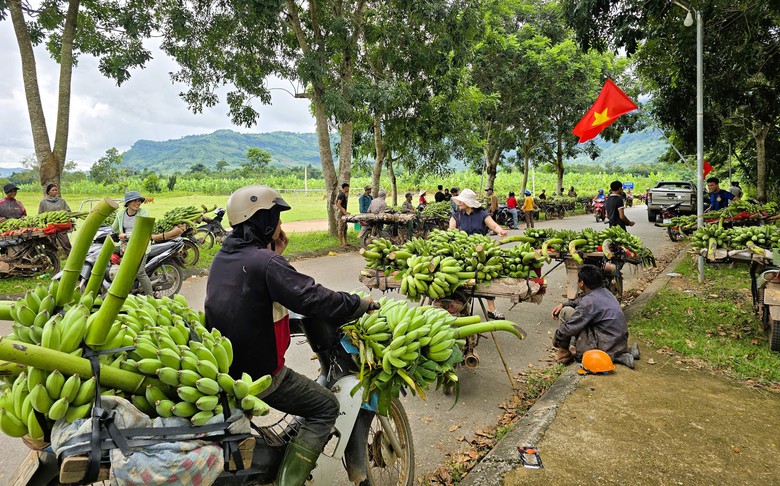 Cận cảnh chợ chuối Tân Long ở địa điểm tạm sau vụ tai nạn giao thông 3 người chết- Ảnh 7. Cận cảnh chợ chuối Tân Long ở địa điểm tạm sau vụ tai nạn giao thông 3 người chết- Ảnh 7.