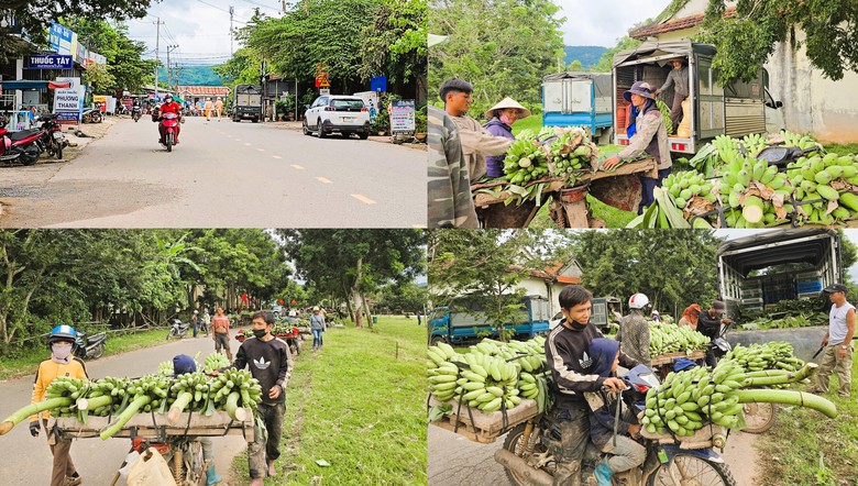 Cận cảnh chợ chuối Tân Long ở địa điểm tạm sau vụ tai nạn giao thông 3 người chết- Ảnh 8. Cận cảnh chợ chuối Tân Long ở địa điểm tạm sau vụ tai nạn giao thông 3 người chết- Ảnh 8.