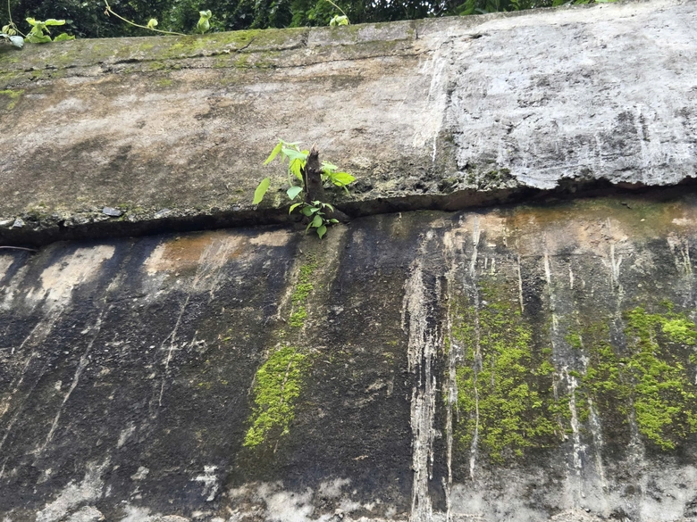 Tường chắn ta luy dương đ&egrave;o Măng Đen nguy cơ đổ sập- Ảnh 2.