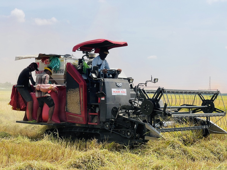 Đồng Nai: Đường bê tông về tận ngõ, đời sống bà con khấm khá lên từng ngày- Ảnh 7. Đồng Nai: Đường bê tông về tận ngõ, đời sống bà con khấm khá lên từng ngày- Ảnh 7.