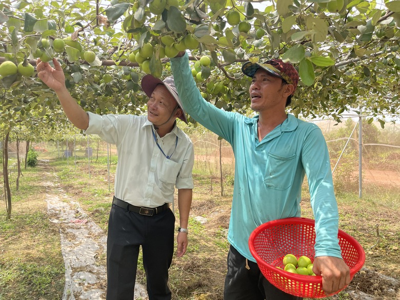 Đồng Nai: Đường bê tông về tận ngõ, đời sống bà con khấm khá lên từng ngày- Ảnh 2. Đồng Nai: Đường bê tông về tận ngõ, đời sống bà con khấm khá lên từng ngày- Ảnh 2.