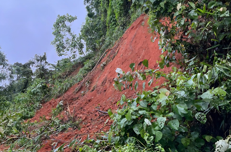 Lở núi khiến đất đá tràn tỉnh lộ, chia cắt giao thông ở xã biên giới Quảng Ngãi- Ảnh 8. Lở núi khiến đất đá tràn tỉnh lộ, chia cắt giao thông ở xã biên giới Quảng Ngãi- Ảnh 8.