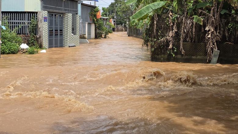 Lũ đổ về s&ocirc;ng Bu&ocirc;ng, nước tr&agrave;n qua cao tốc Bi&ecirc;n H&ograve;a - Vũng T&agrave;u- Ảnh 4.