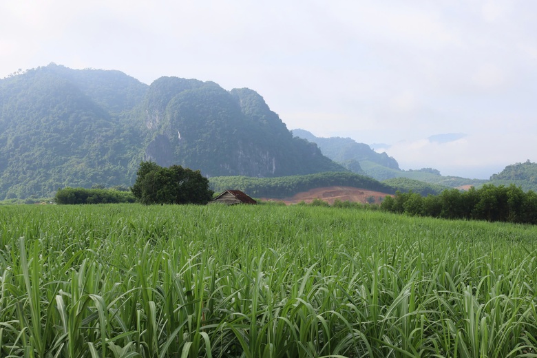 Nghệ An đầu tư 80 tỷ đồng x&acirc;y cầu Kẻ N&iacute;nh, dự kiến khởi c&ocirc;ng th&aacute;ng 11/2025- Ảnh 6.