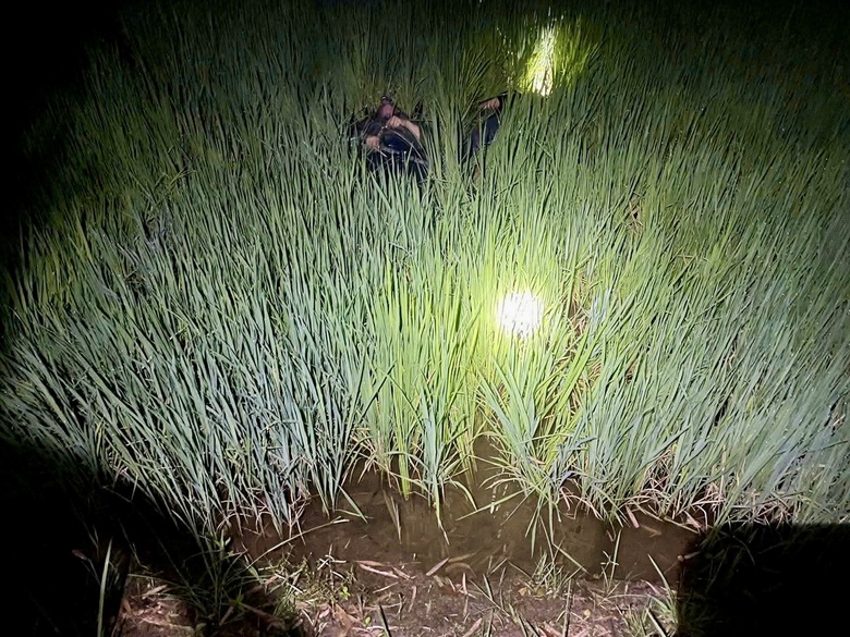 Gia Lai: Khởi tố bị can vụ 2 thanh ni&ecirc;n tử vong do điện bẫy chuột- Ảnh 1.