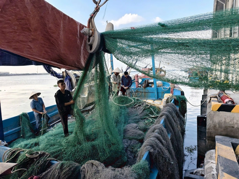 Ninh B&igrave;nh: T&agrave;u thuyền nối đu&ocirc;i nhau v&agrave;o cảng tr&aacute;nh b&atilde;o Ragasa- Ảnh 2.