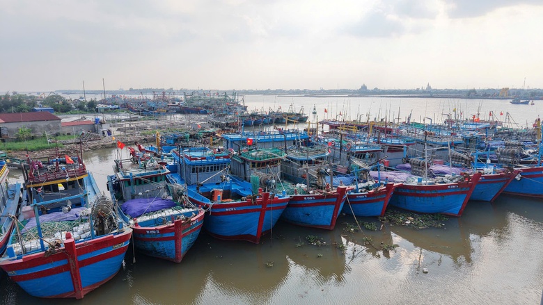 Ninh B&igrave;nh: T&agrave;u thuyền nối đu&ocirc;i nhau v&agrave;o cảng tr&aacute;nh b&atilde;o Ragasa- Ảnh 3.