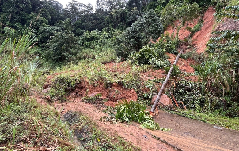 Quảng Ng&atilde;i nỗ lực th&ocirc;ng xe sau sạt lở n&uacute;i c&ocirc; lập x&atilde; bi&ecirc;n giới- Ảnh 3.