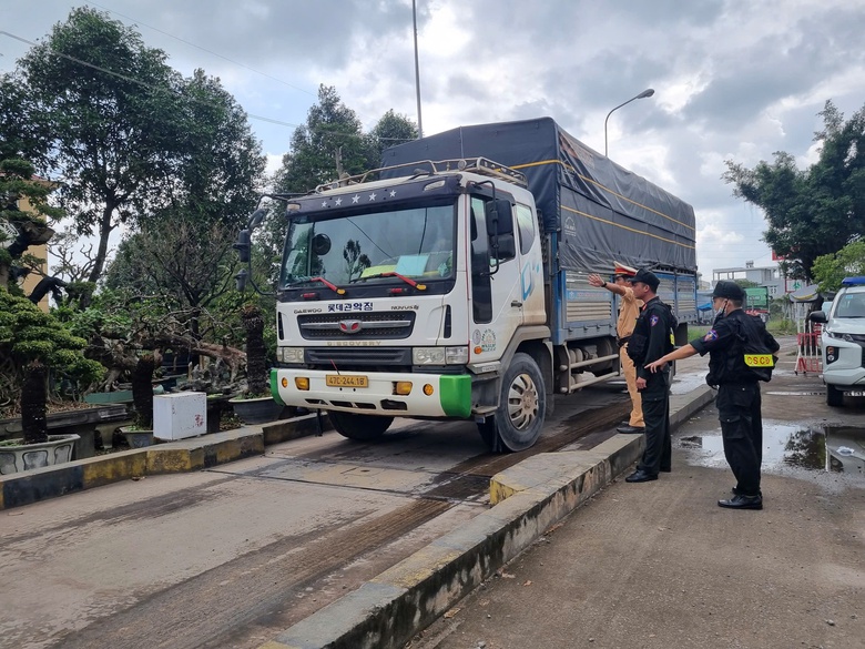 Gia Lai: Hiệu quả từ khi Nghị định 168 ra đời- Ảnh 1.