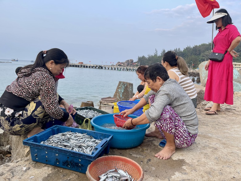 Gia Lai: X&atilde; đảo Nhơn Ch&acirc;u vươn m&igrave;nh th&agrave;nh điểm s&aacute;ng n&ocirc;ng th&ocirc;n mới n&acirc;ng cao- Ảnh 3.