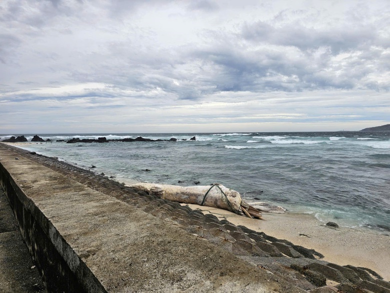 Quảng Trị: 3 người mất t&iacute;ch, nhiều cầu tr&agrave;n ngập s&acirc;u, đường giao th&ocirc;ng bị sạt lở- Ảnh 6.