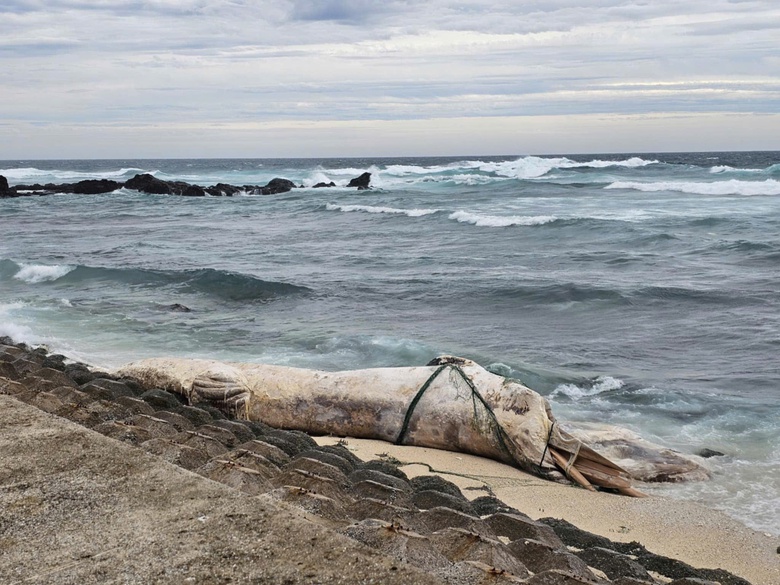 Quảng Trị: 3 người mất t&iacute;ch, nhiều cầu tr&agrave;n ngập s&acirc;u, đường giao th&ocirc;ng bị sạt lở- Ảnh 5.