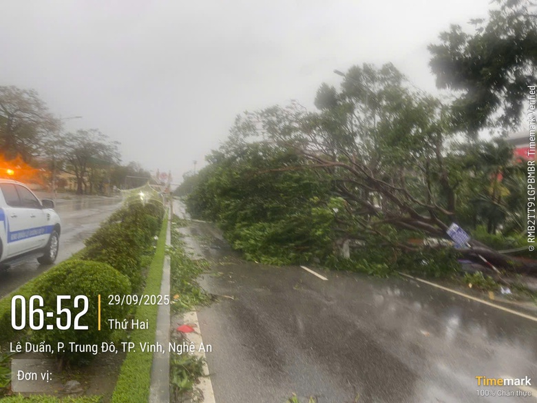 Nghệ An: Nhiều tuyến quốc lộ, tỉnh lộ bị chia cắt do sạt lở, ngập &uacute;ng sau b&atilde;o số 10- Ảnh 2.