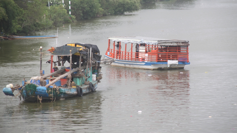 Cà Mau rút ngắn thời gian giải quyết 25 thủ tục hành chính lĩnh vực hàng hải, đường thủy- Ảnh 2. Cà Mau rút ngắn thời gian giải quyết 25 thủ tục hành chính lĩnh vực hàng hải, đường thủy- Ảnh 2.