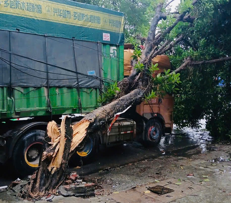 H&agrave; Nội chủ động khắc phục hậu quả mưa b&atilde;o- Ảnh 5.