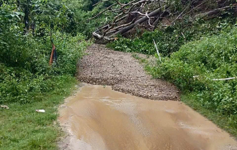 Th&aacute;i Nguy&ecirc;n: Mưa lớn g&acirc;y sạt lở, 2 ng&ocirc;i nh&agrave; bị v&ugrave;i lấp ho&agrave;n to&agrave;n- Ảnh 2.