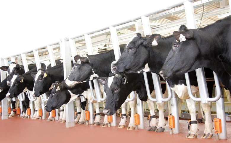 Những cỗ &ldquo;si&ecirc;u m&aacute;y&rdquo; tr&ecirc;n c&aacute;nh đồng nguy&ecirc;n liệu 8.100ha của TH true MILK- Ảnh 2.