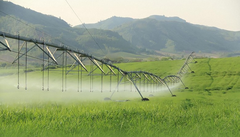 Những cỗ &ldquo;si&ecirc;u m&aacute;y&rdquo; tr&ecirc;n c&aacute;nh đồng nguy&ecirc;n liệu 8.100ha của TH true MILK- Ảnh 5.