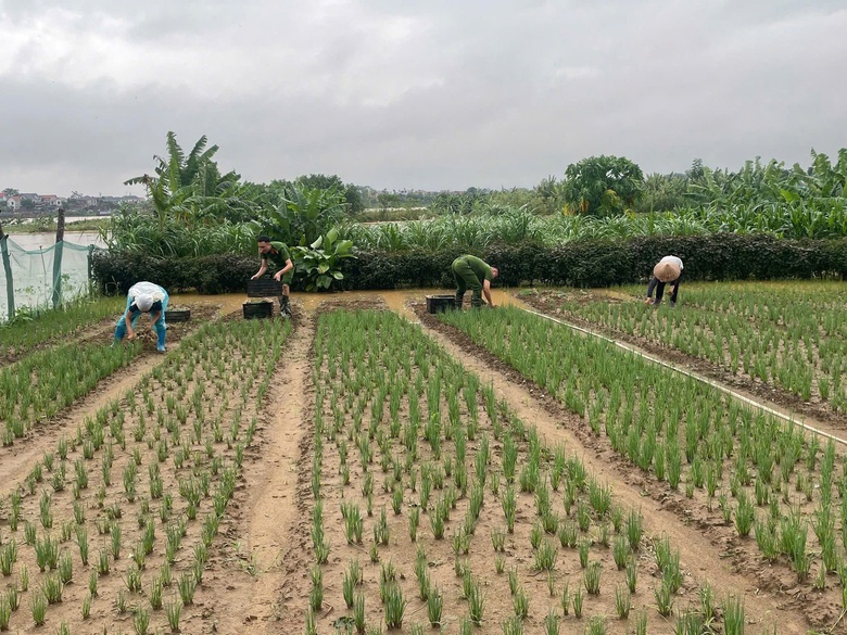 C&ocirc;ng an H&agrave; Nội lội nước hỗ trợ người d&acirc;n trong mưa lũ- Ảnh 13.