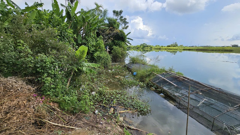 Huế: Bờ s&ocirc;ng Bồ sạt lở ăn s&acirc;u v&agrave;o tuyến đường b&ecirc; t&ocirc;ng, người d&acirc;n thấp thỏm lo sợ- Ảnh 14.