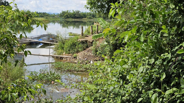 Huế: Bờ s&ocirc;ng Bồ sạt lở ăn s&acirc;u v&agrave;o tuyến đường b&ecirc; t&ocirc;ng, người d&acirc;n thấp thỏm lo sợ- Ảnh 8.