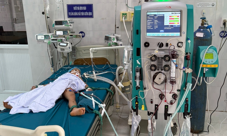 Gia Lai: Ba trẻ em bị ong v&ograve; vẽ tấn c&ocirc;ng, một em tử vong do sốc phản vệ- Ảnh 1.